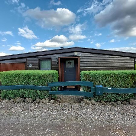 Ferienhaus Eifel Nature Dream Dockweiler Ngoại thất bức ảnh